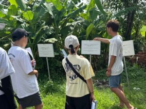 カンボジア留学プログラムの様子 15